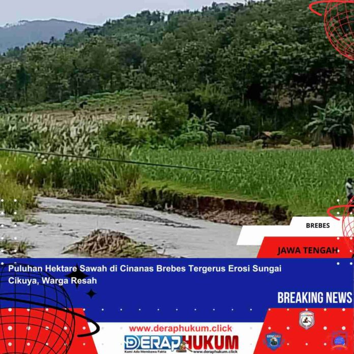 Salinan dari Template deraphukum_20250303_180014_0000.pdf_20250316_134254_0000