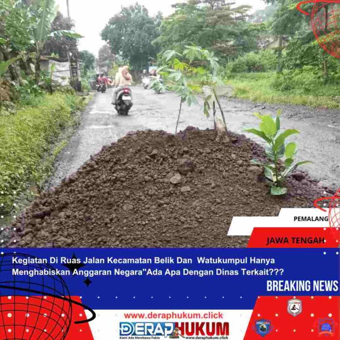 Template deraphukum_20250303_180014_0000.pdf_20250329_000511_0000